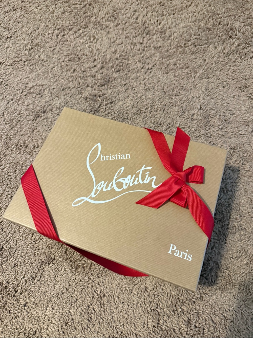 Christian Louboutin Hot Chick Heels with Box